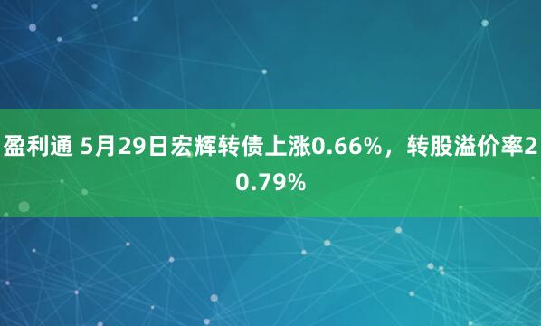 盈利通 5月29日宏辉转债上涨0.66%，转股溢价率20.79%